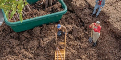 Co pěstovat sazenice? Výběr lepší nádrže